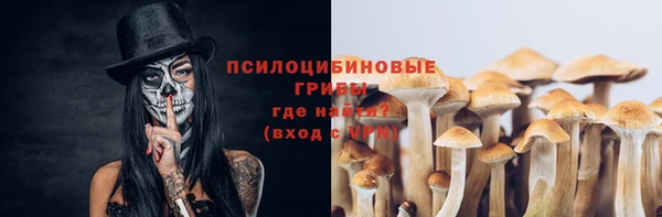не бодяженный Алексин