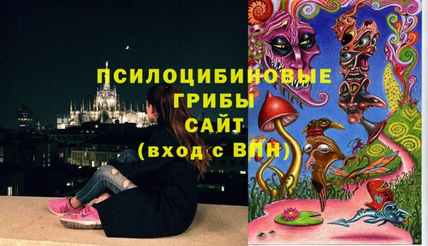 не бодяженный Алексин