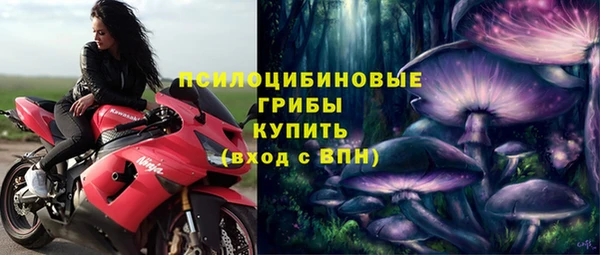 трава Алзамай