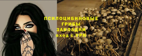 трава Алзамай