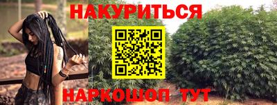 сатива Жуковский