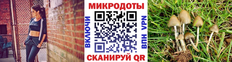 Галлюциногенные грибы Magic Shrooms  hydra маркетплейс  Кыштым 
