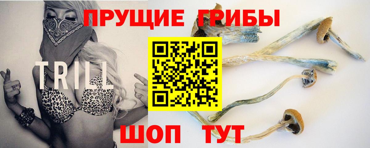Кыштым  Галлюциногенные грибы GOLDEN TEACHER  Вход с VPN 